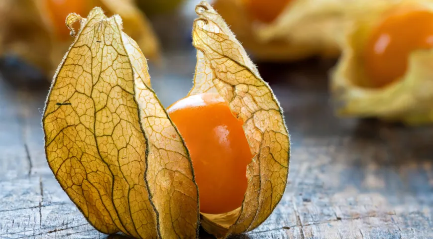 Physalis připomíná donašečskou kouli z Harryho Pottera.