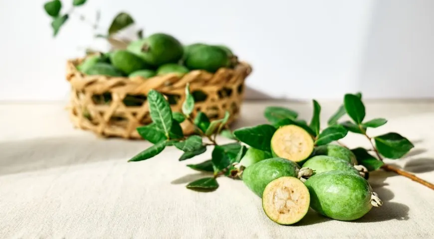 Feijoa je vynikajícím zdrojem vlákniny, vitaminu C, jódu a bioflavonoidů. 